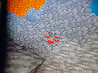 16785502376127666210080530903532.jpg