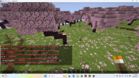 Screenshot (13).png