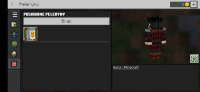 Screenshot_20230409_100241_com.mojang.minecraftpe.jpg