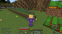 DarkOC_berrybushhitboxglitch_50pc.png