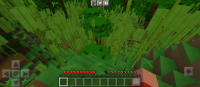 Screenshot_2023-05-13-01-03-17-648_com.mojang.minecraftpe.jpg