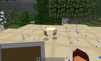 Screenshot_20230514-192343_Minecraft.jpg