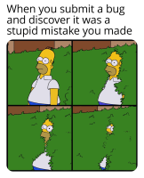 bugsubmitgoeswrong.jpg