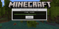 Screenshot_20230603_135133_com.mojang.minecraftpe.jpg