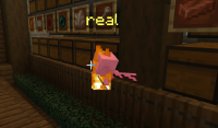 so.png