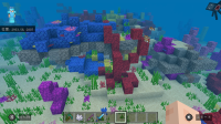 IMG_0653.jpeg