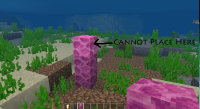 Coral-Placment.gif