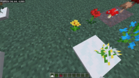 20230613_000605.jpg