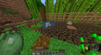 Frog bug.png