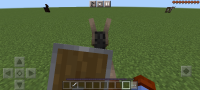 Screenshot_20230614_201506_Minecraft.jpg