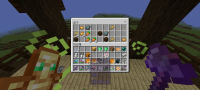 Screenshot_20230619-213942_Minecraft.jpg