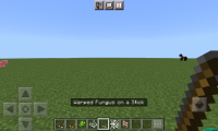 XRecorder_25062023_205954.jpg