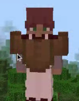 helmet and chestplate onscreen.png