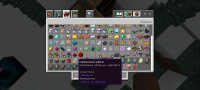 Screenshot_20230703_104731_Minecraft.png