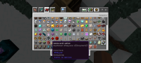 Screenshot_20230703_104806_Minecraft.png