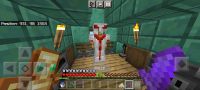 Minecraft_2023-07-06-04-26-52.jpg