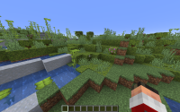 Java Edition (1.20.1).png