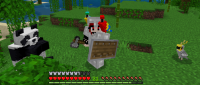 birdmc.png