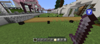 Screenshot_20230619_072758_Minecraft.png