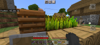 Screenshot_20230803-221943_Minecraft.jpg