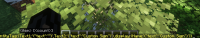 img1.png