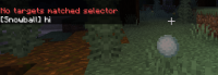 Realm - execute say hi as Wand.png