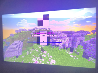IMG_1195.jpeg