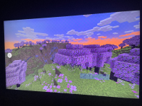 IMG_1197.jpeg