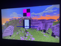 IMG_1196.jpeg