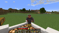 Bug Skin 01.png