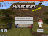 Minecraft Preview.png