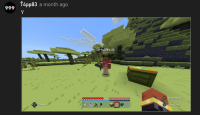 Mc skin.png