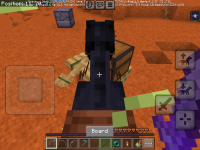 IMG_3513.png