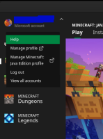 Minecraft Account Switcher - empty.png