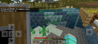 Screenshot_20231010_214321_Minecraft.jpg