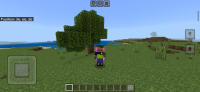 Screenshot_20231015-100248_Minecraft.jpg