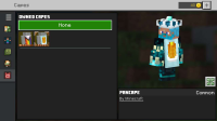 Radcoolsteve30.png