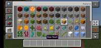 Screenshot_20231209_193316_com.mojang.minecraftpe.jpg