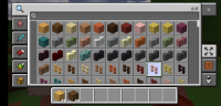 Screenshot_20231208_235505_com.mojang.minecraftpe.jpg