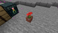 4_placing_flower_pot.png