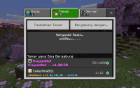 Screenshot_20240117-224328_Minecraft.jpg