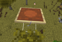 bug rotation.png