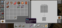 Screenshot_20240126_100852_Minecraft.jpg