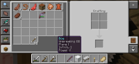 Screenshot_20240126_100836_Minecraft.jpg