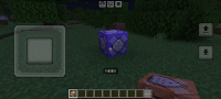 Screenshot_20240206_194912_Minecraft.jpg