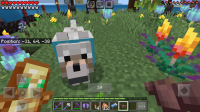 Screenshot_20240208-192315_Minecraft.jpg