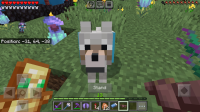 Screenshot_20240208-192300_Minecraft.jpg