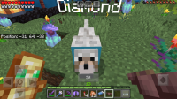 Screenshot_20240208-192245_Minecraft.jpg