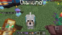 Screenshot_20240208-192254_Minecraft.jpg