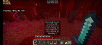 Screenshot_20240210_154050_com.mojang.minecraftpe.jpg